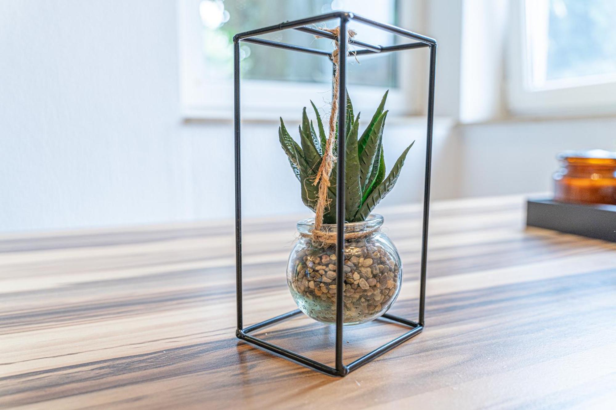Apartment Wesseling Ngoại thất bức ảnh