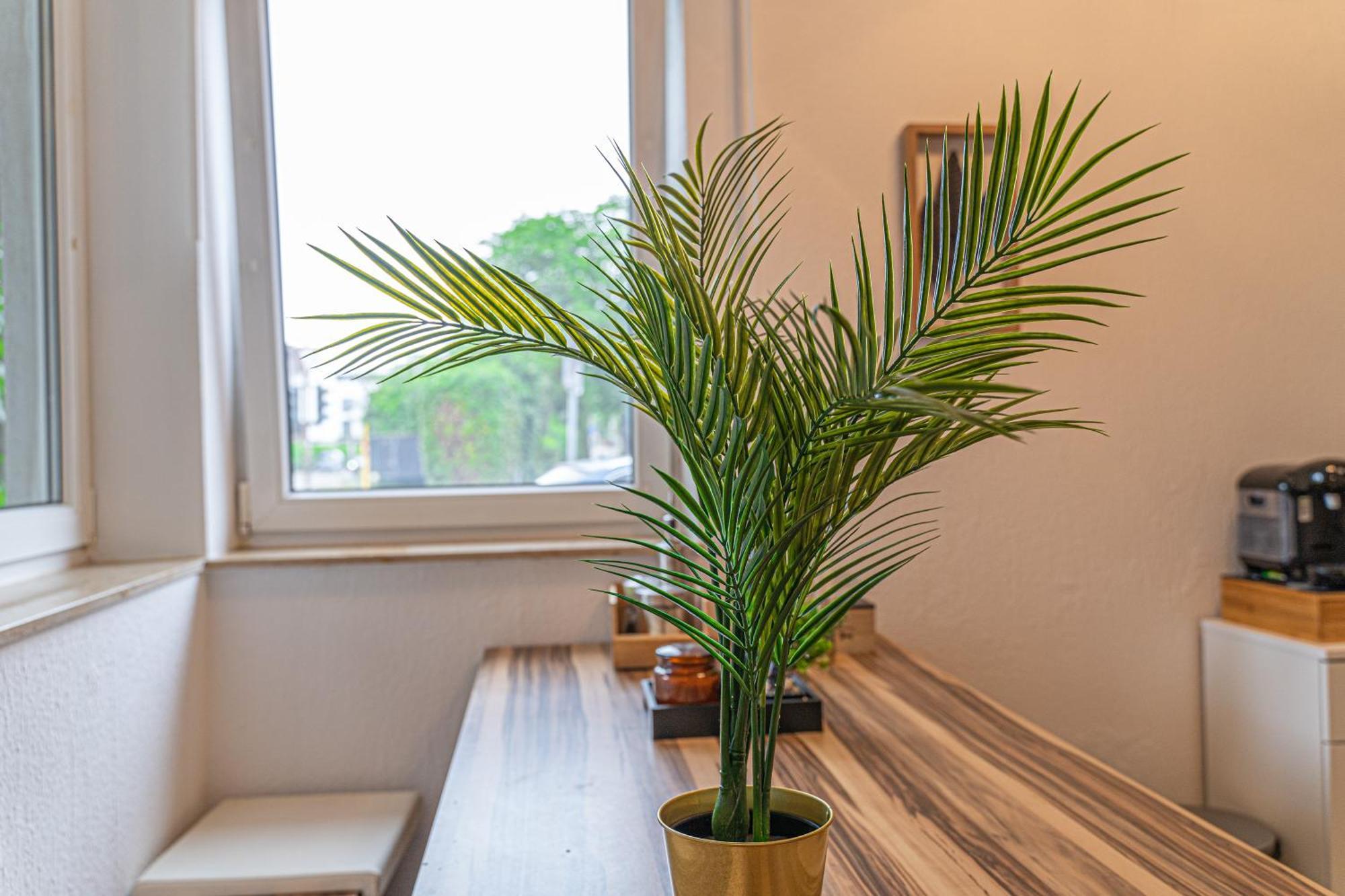 Apartment Wesseling Ngoại thất bức ảnh