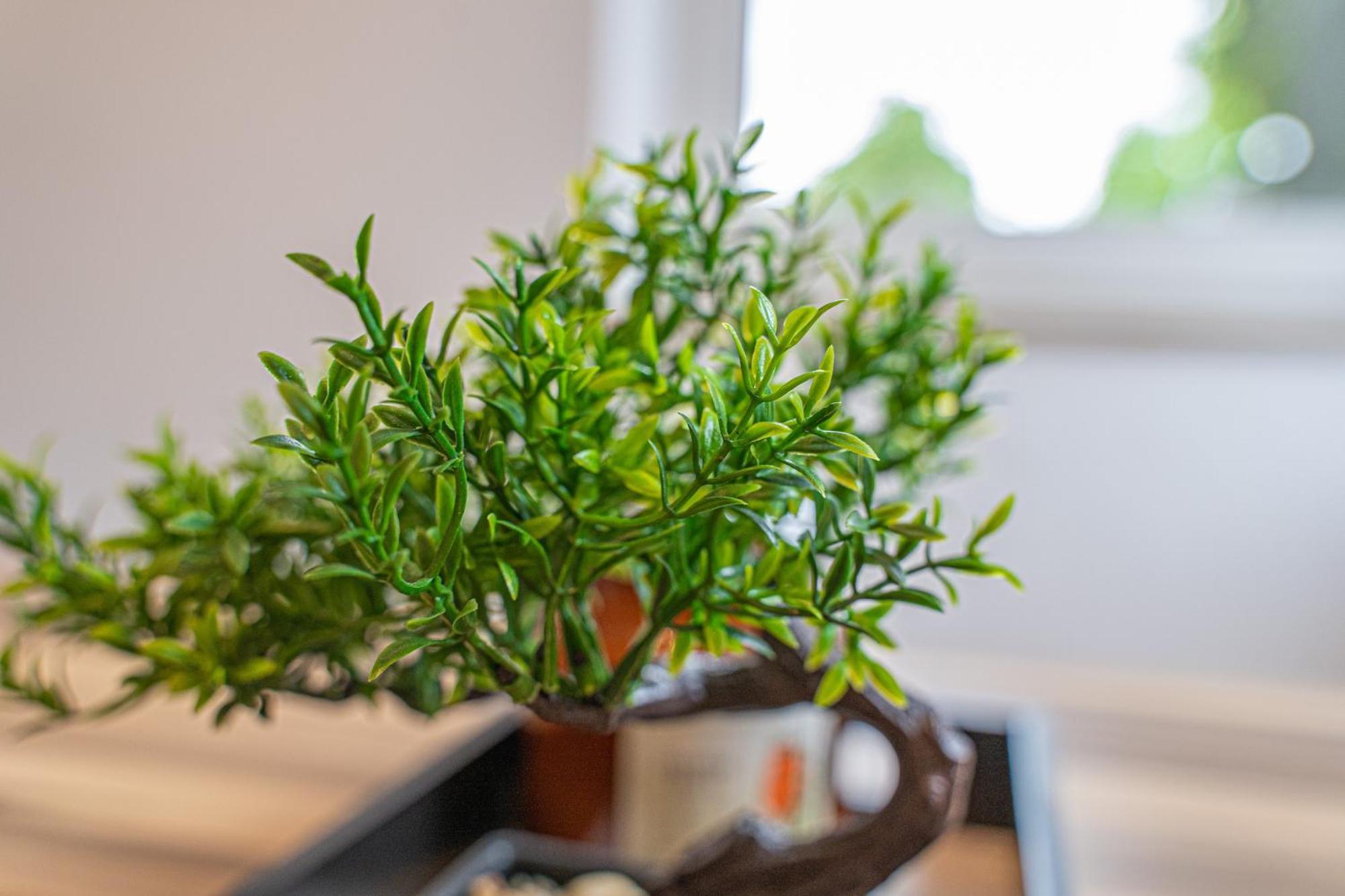 Apartment Wesseling Ngoại thất bức ảnh